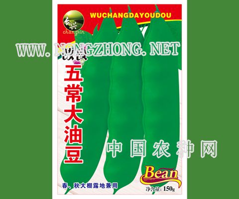 改良五常大油豆